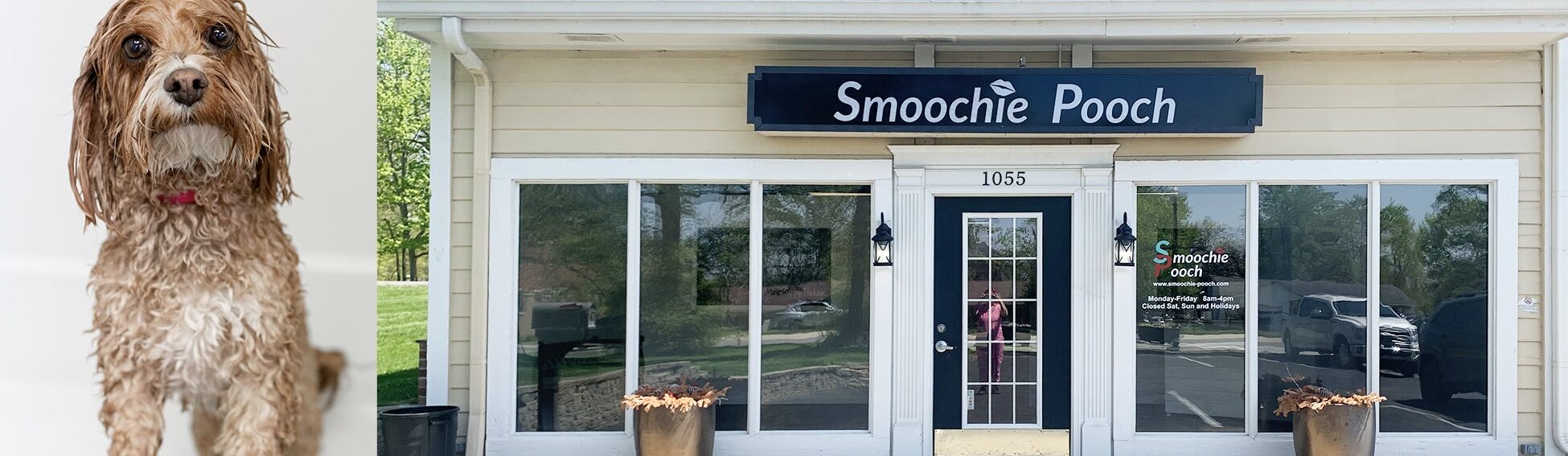 Smoochie Pooch Carmel