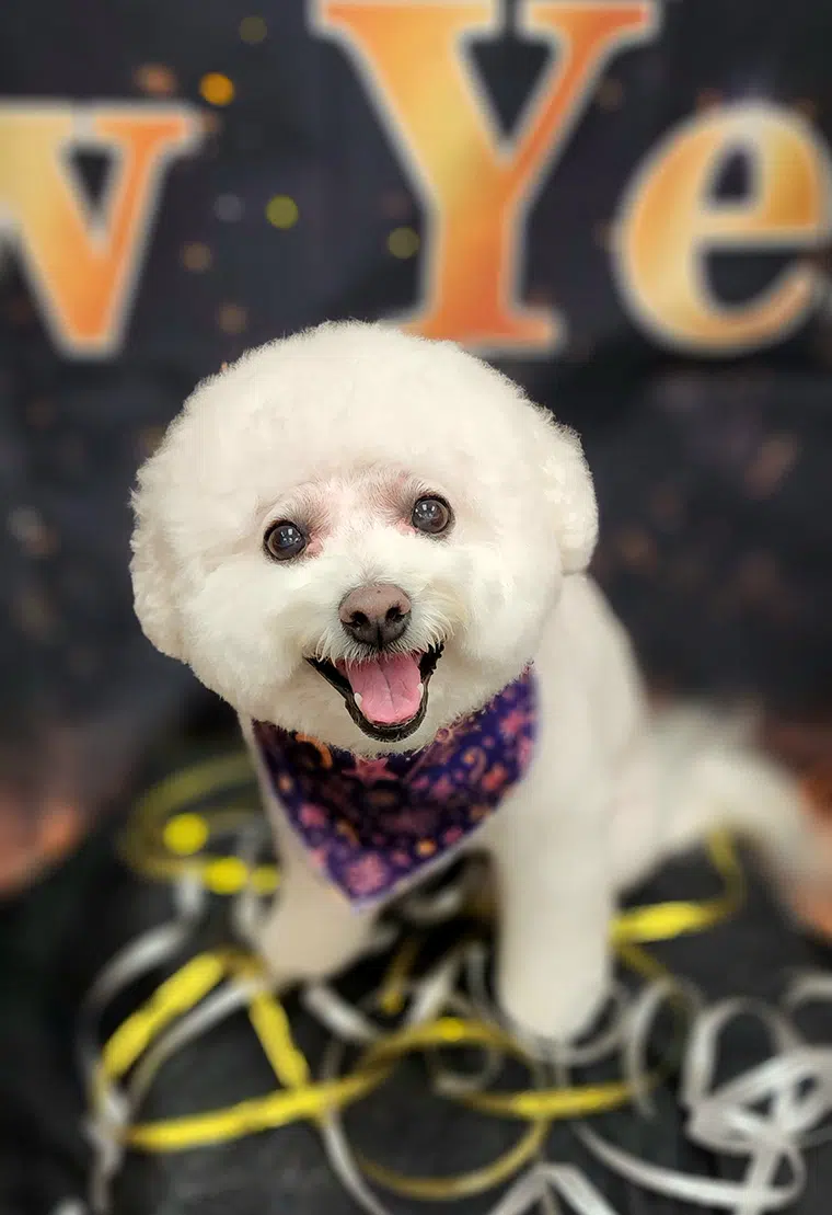 Cookie
