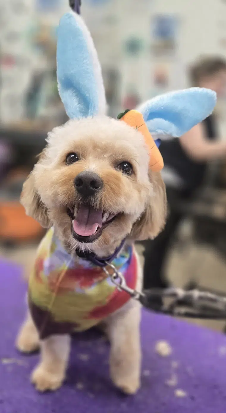 Easter